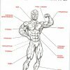 Упражнения для мышц сборник 90-х